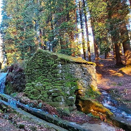 Matos Casas De Campo 카베세이라스 드 바스투 외부 사진