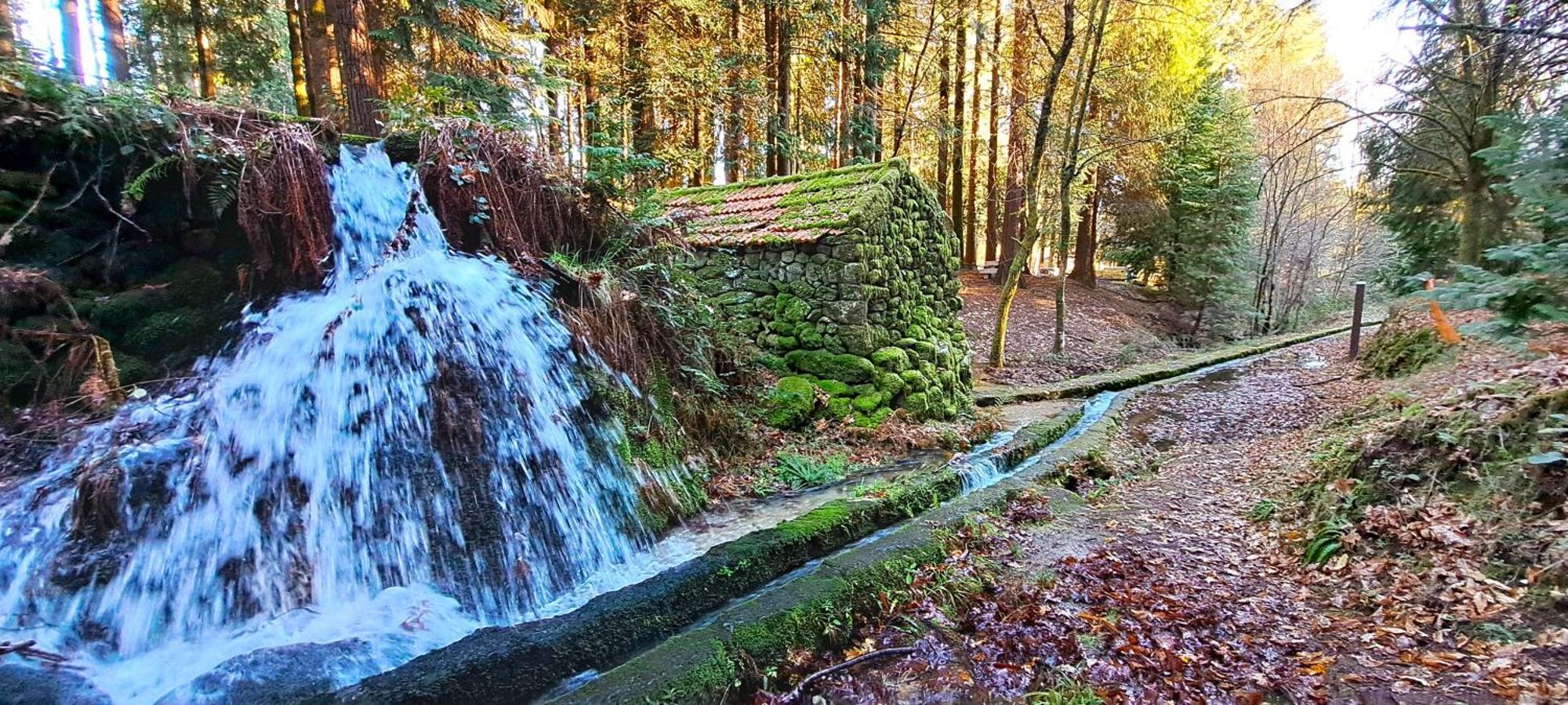 Matos Casas De Campo 카베세이라스 드 바스투 외부 사진
